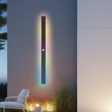 Modern Außenwandleuchte LED Linear Schwarz Garten
