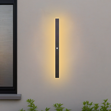 Minimalistisch Außenwandleuchte LED Metall Linear Schwarz Garten