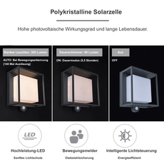 Industrial Außenwandleuchte LED Sensor Solar Acryl Schwarz Hof