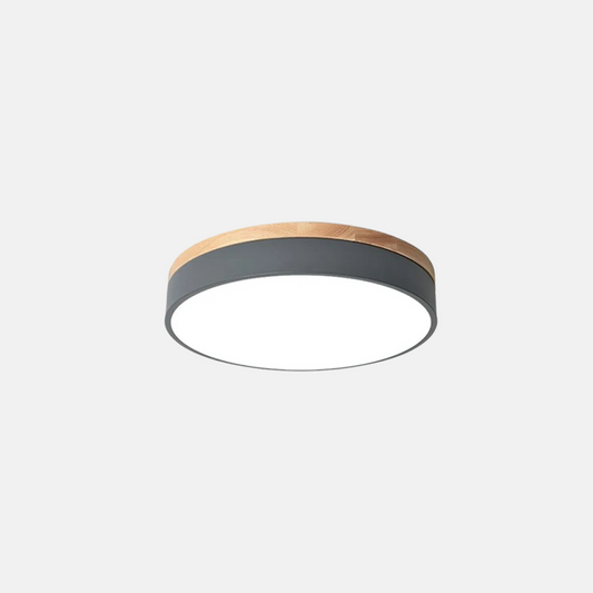 Nordic Deckenleuchte LED Rund Morandi Metall Schlafzimmer