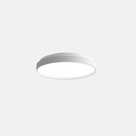 Minimalistisch Deckenleuchte LED Rund Metall Arbeitzimmer