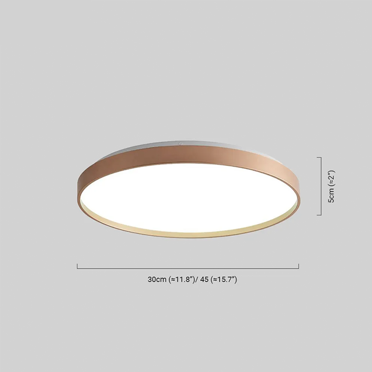 Minimalistisch Deckenleuchte LED Rund Metall Arbeitzimmer