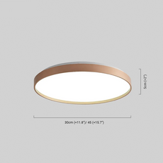 Minimalistisch Deckenleuchte LED Rund Metall Arbeitzimmer