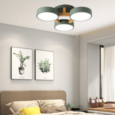 Minimalistische Deckenleuchte LED Rund Metall -Grün-ideal fuer Schlafzimmer