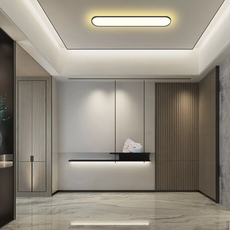 Minimalistisch Deckenleuchte LED Metall Elliptisch Schwarz Schlafzimmer