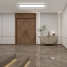 Minimalistisch Deckenleuchte LED Metall Elliptisch Schwarz Schlafzimmer