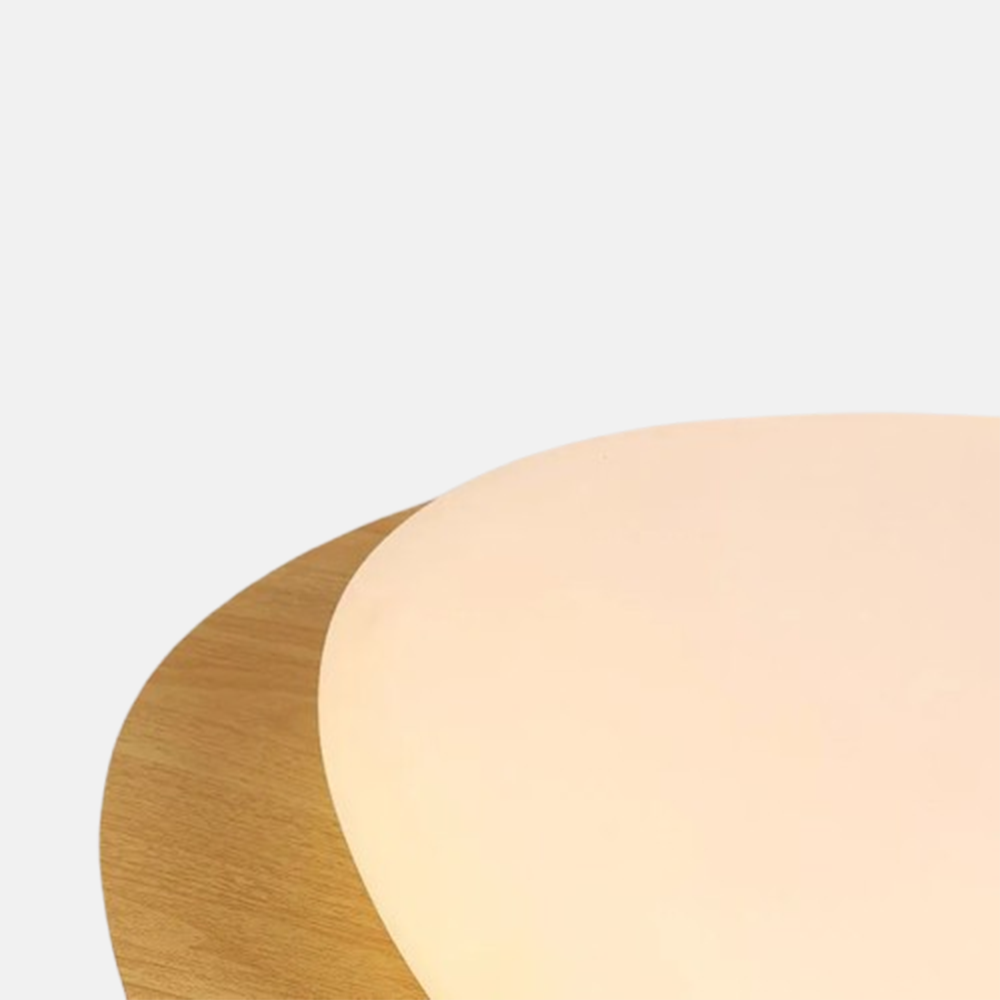 Minimalistisch Deckenleuchte LED Rund Schlafzimmer
