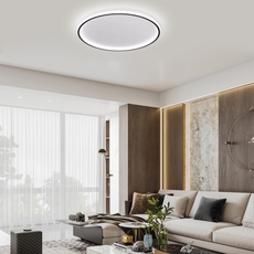 Modern Deckenleuchte LED Rund Schwarz -Kühles Licht