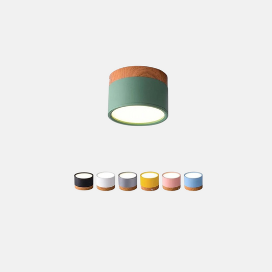 NMorandi Moderne Deckenleuchte LED Metall Wohn/Schlafzimmer